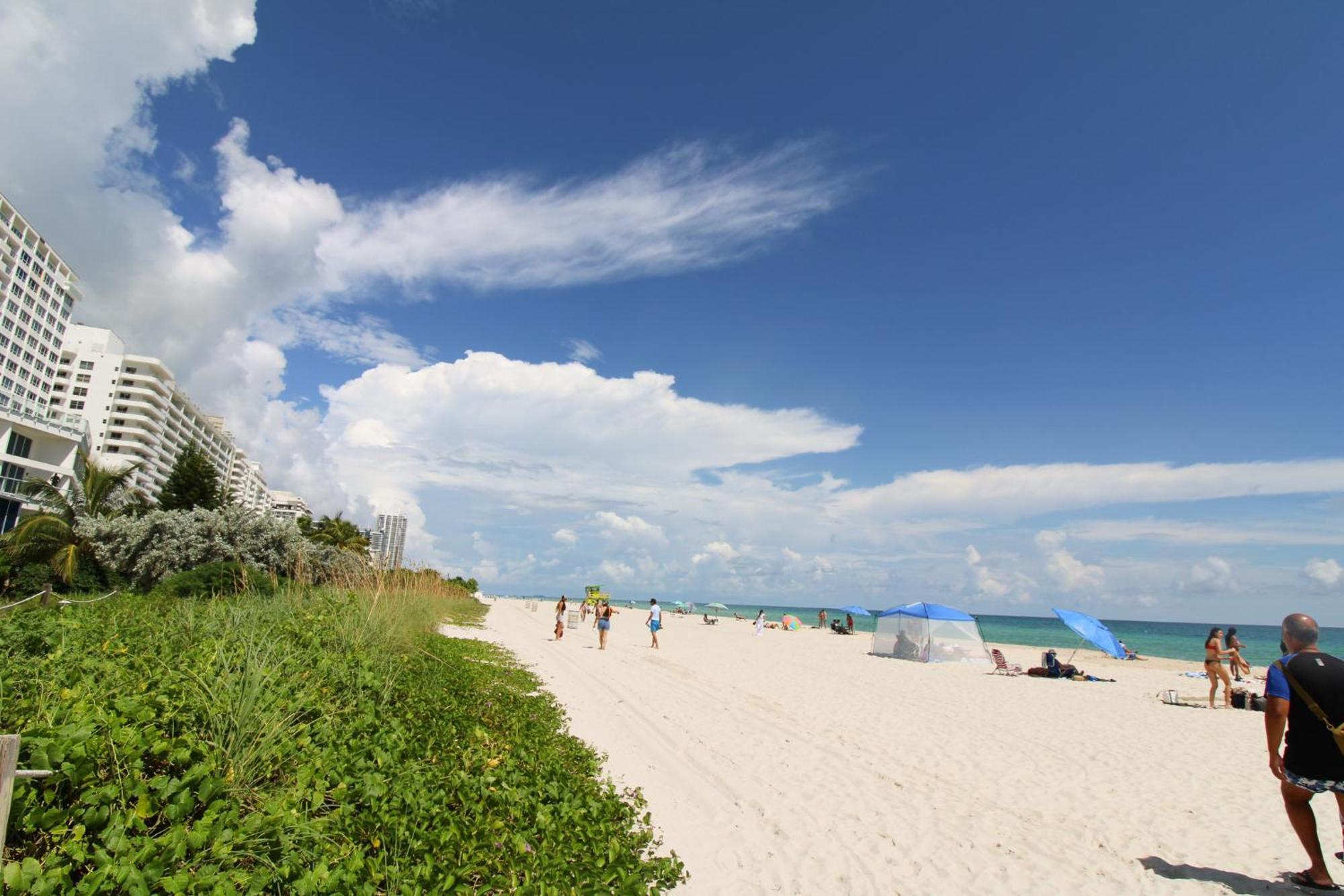 Castle Pavillon 8 Beachfront - Private Beach Access Loft With 2-Story, Pool, Tennis, Free Parking Access Miami Beach Extérieur photo